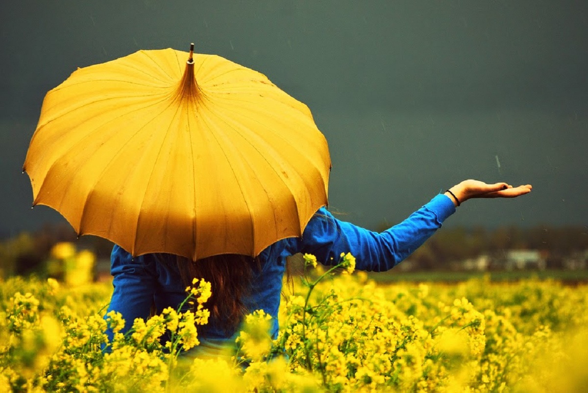 The Rain And My Yellow Umbrella